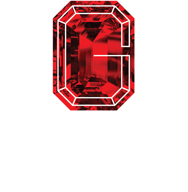 G Vision